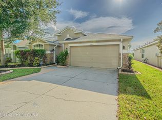 6843 Runner Oak Dr, Wesley Chapel, FL 33545