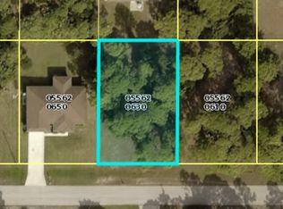 1015 NE 33rd St, Cape Coral, FL 33909