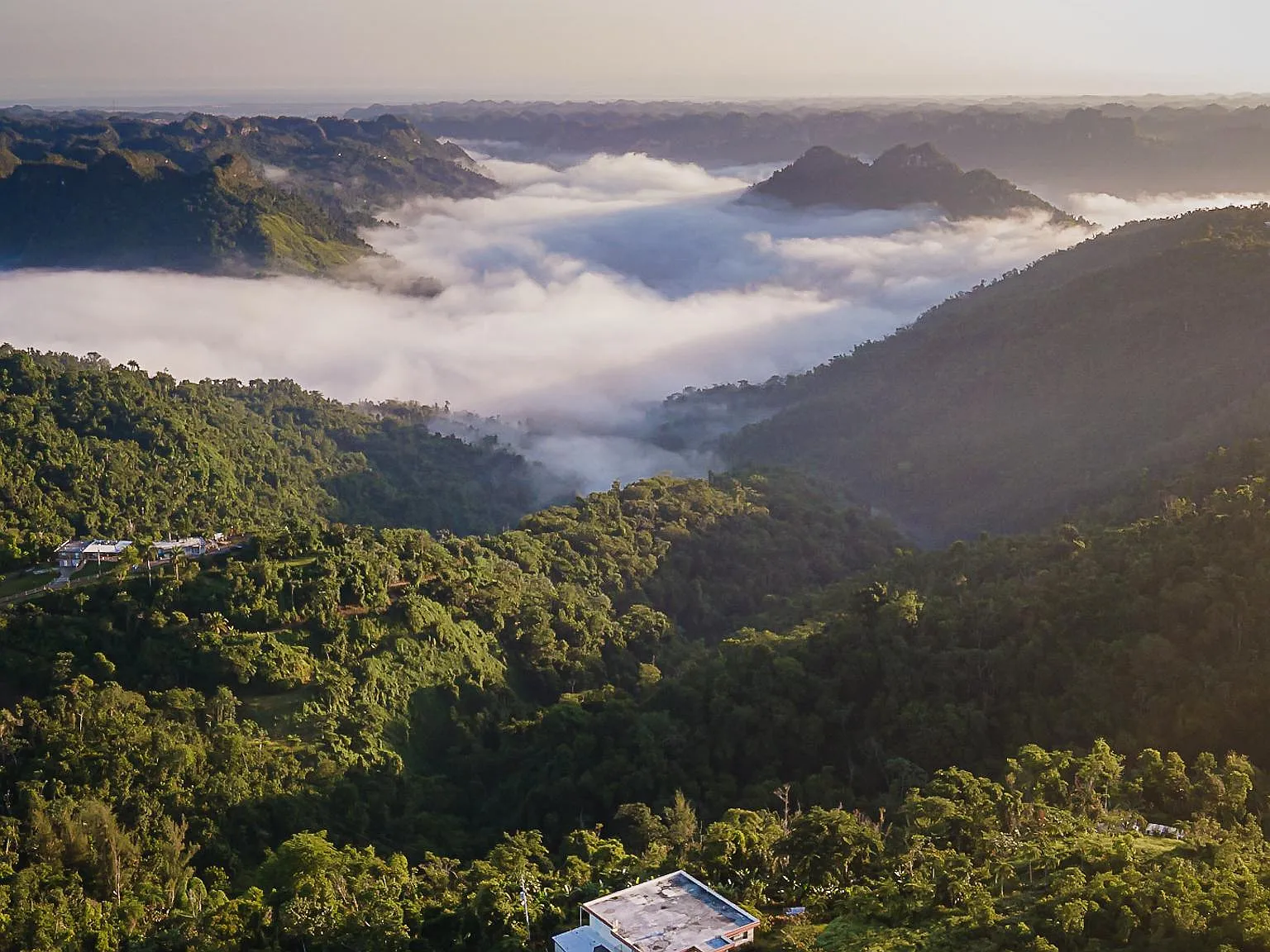 0 Utuado Bo Sabana Grande Carr 611 Km — Photo 2