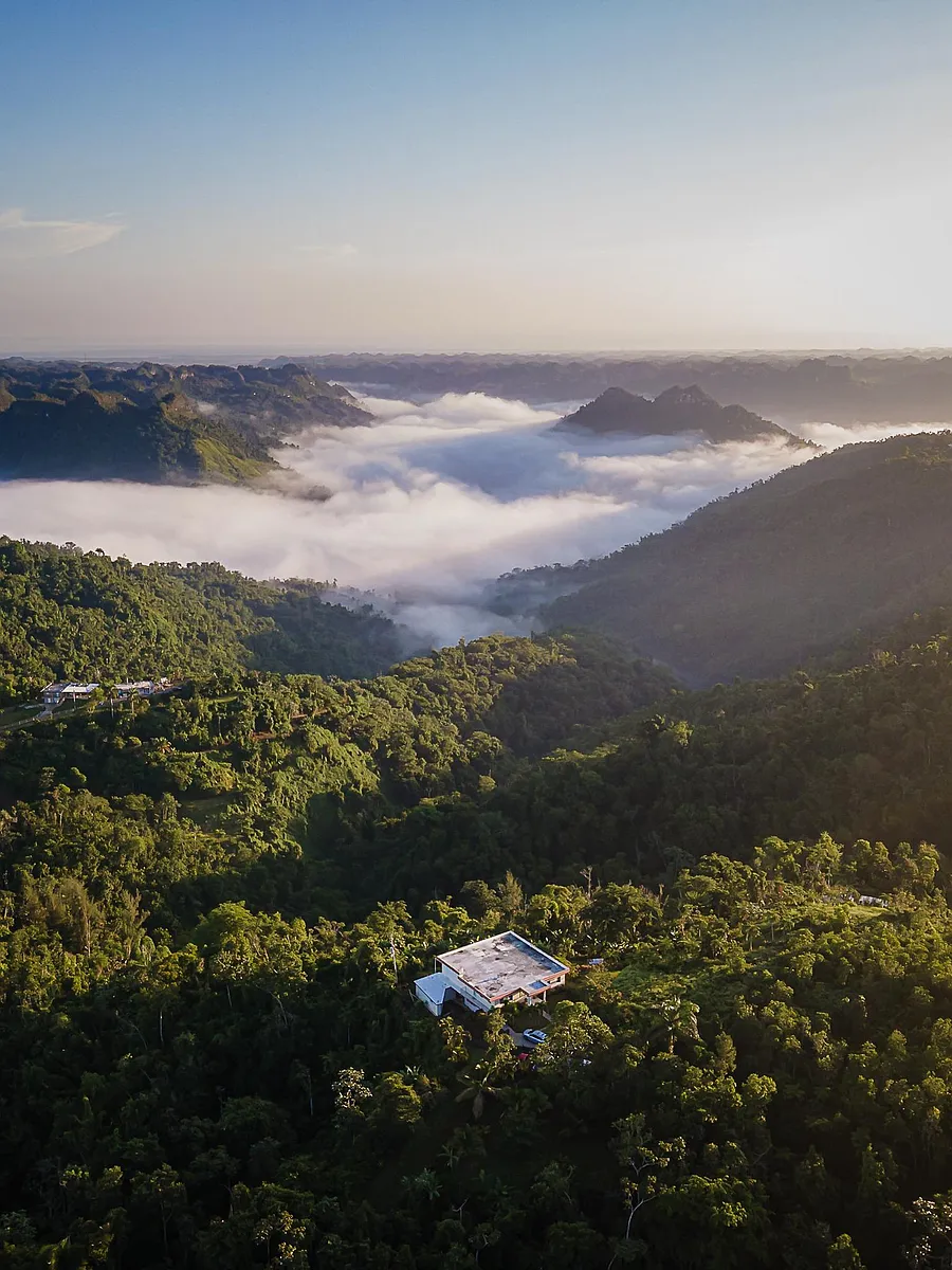 Building Photo - 0 Utuado Bo Sabana Grande Carr 611 Km
