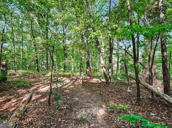 0 Ham Rd, Jackson, GA 30233