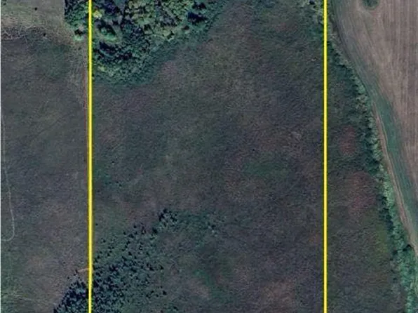 316th St, Clarissa, MN 56440