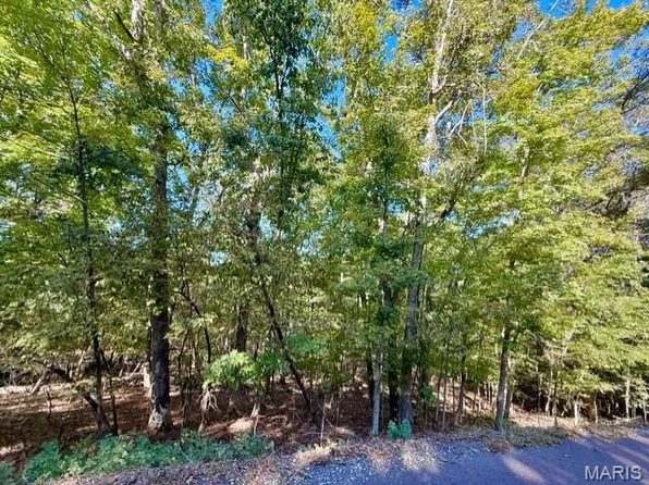 2016 Heather Dr, Lake Sherwood, MO 63357