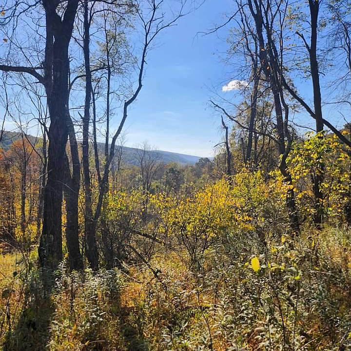 2nd image of Lots C1 C4 Natures Symphony Rd