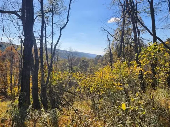 0 Off Natures Symphony Rd, Imler, PA 16655