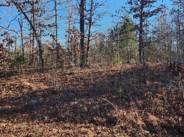808 W Forest Hills Cir, Horseshoe Bend, AR 72512