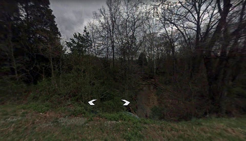 Front of Lot on Buchanan Rd.