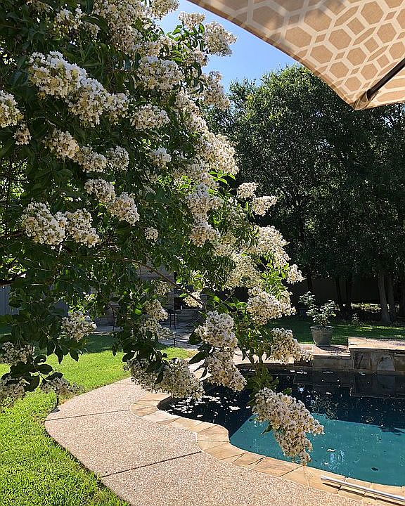 2nd image of 7508 Woodwind Dr