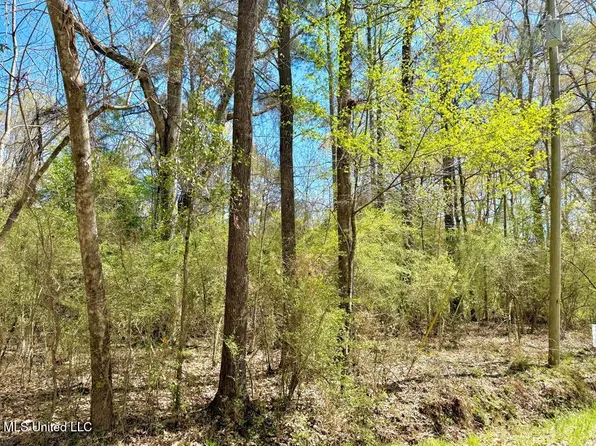 Comanche Dr, McComb, MS 39648