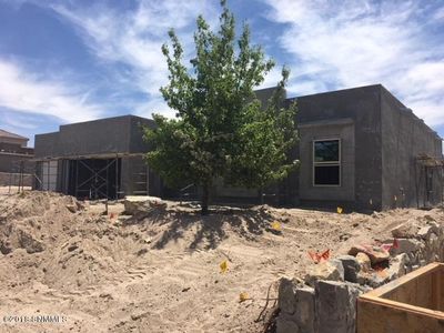 3606 Ascencion Cir, Las Cruces, NM, 88012