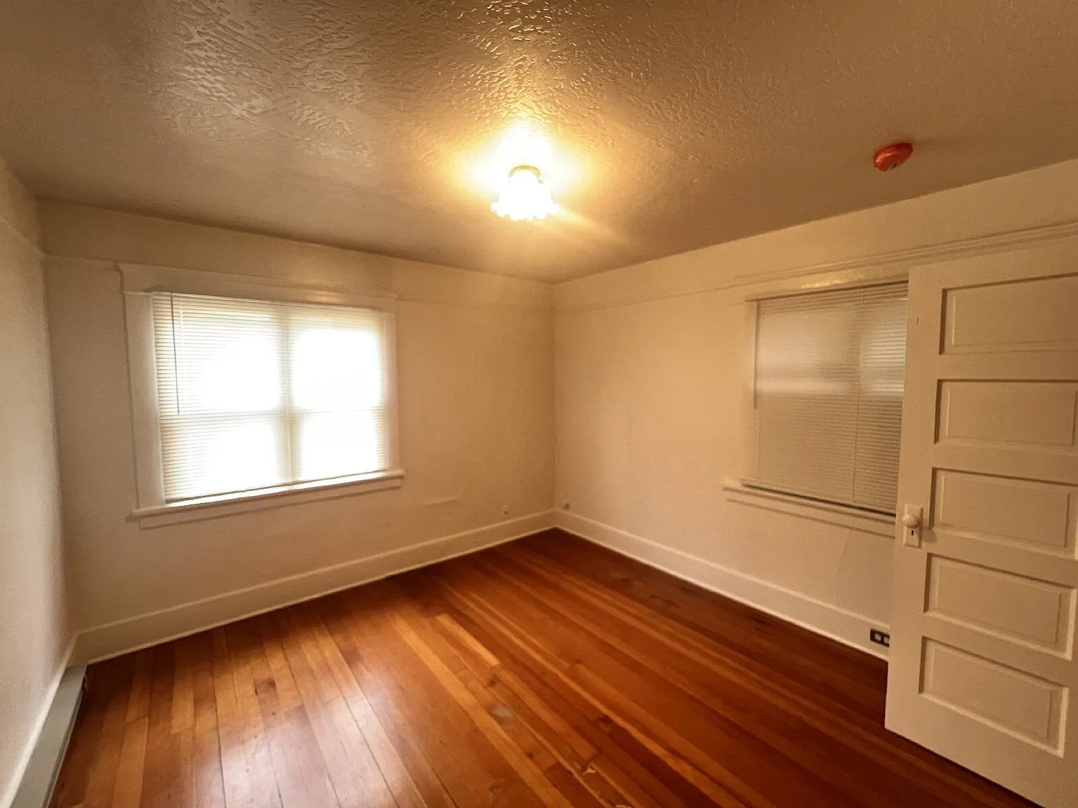 2 bed, 1.0 bath, $1,650 — Photo 3