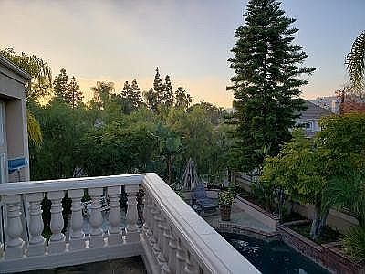 Tree enclosed privacy