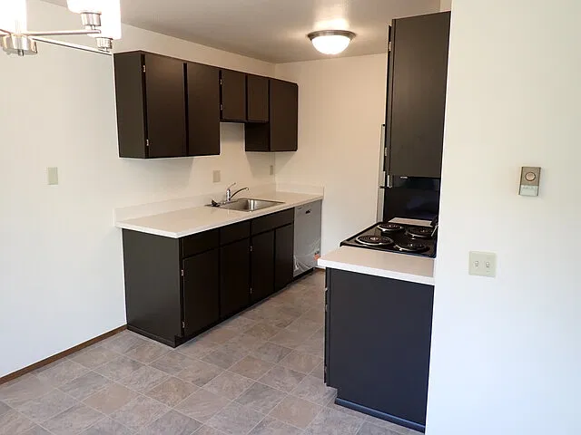 2 bed, 1100 sqft, $2,295 — Photo 4