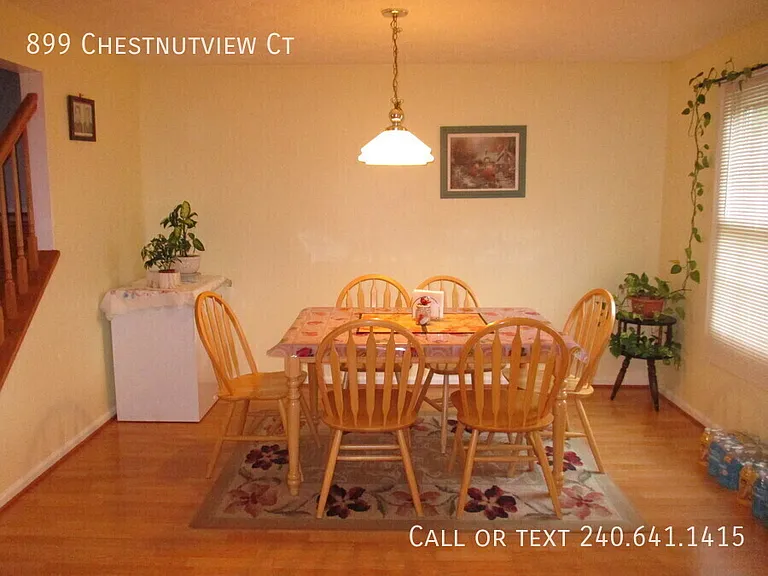 899 Chestnutview Ct — Photo 8
