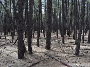 Tbd Dynamite Rd, Lakeside, AZ 85929