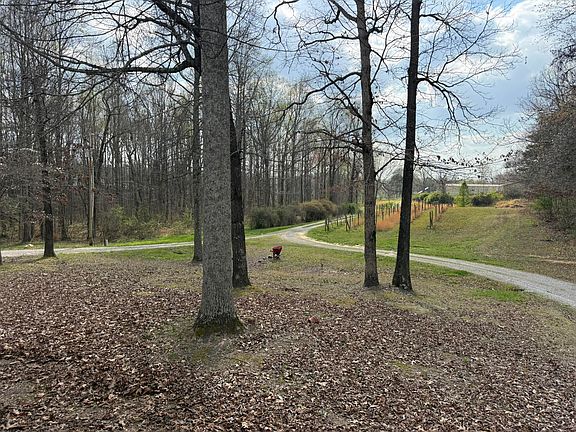 3rd image of 1932 County Road 89