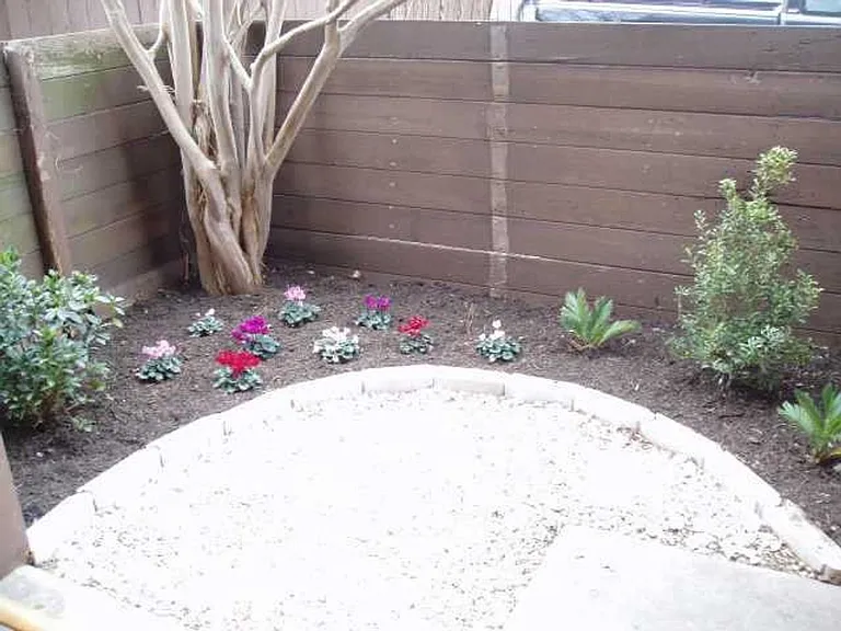 4409 Guadalupe St — Photo 8