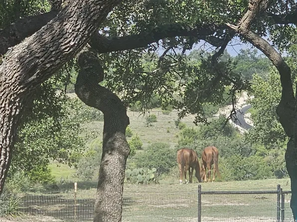 552 (LOT 2002) Rock Trail LOT 2002, Spring Branch, TX 78070