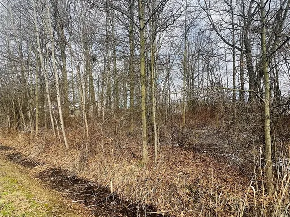 LOT 115 Breezewood Ln, Orwell, OH 44076