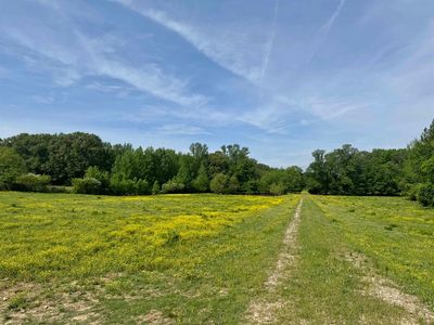 270 Country Club Rd, Somerville, TN, 38068