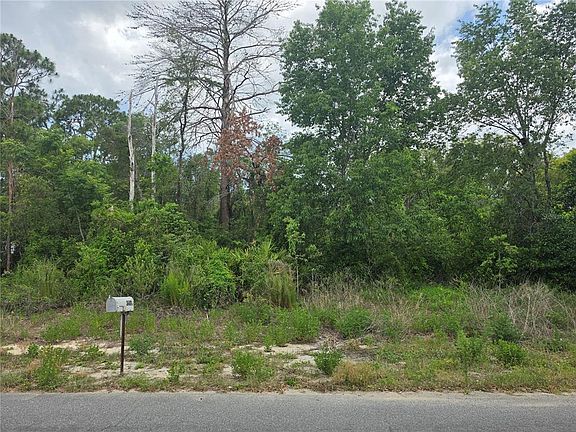 3rd image of 3475 El Prado Ave Lot 19