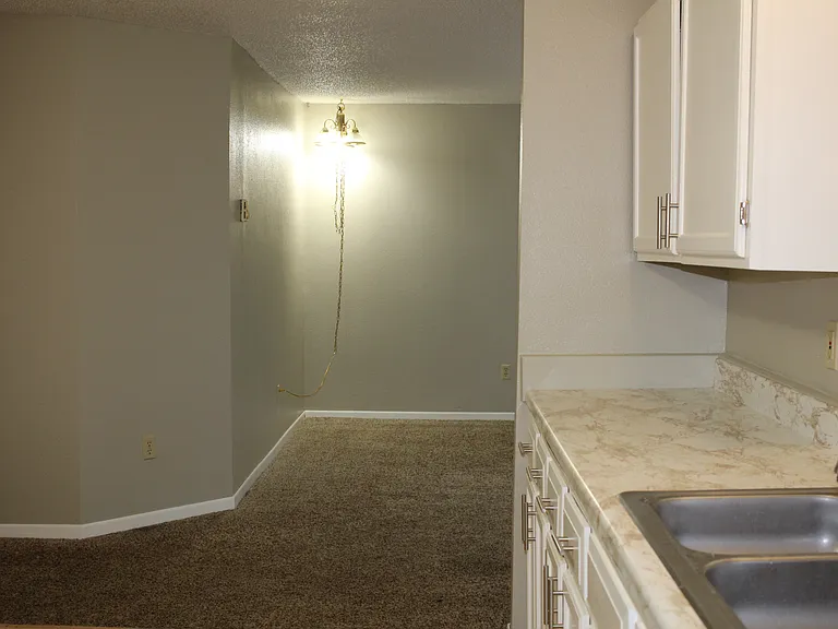 Apt 202 - 09_11192019