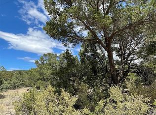 317 Elk Ridge Trl, South Fork, CO 81154