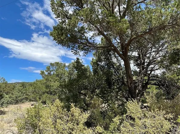 317 Elk Ridge Trail, South Fork, CO 81154