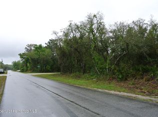 0 Porto Bello Ave, Webster, FL 33597