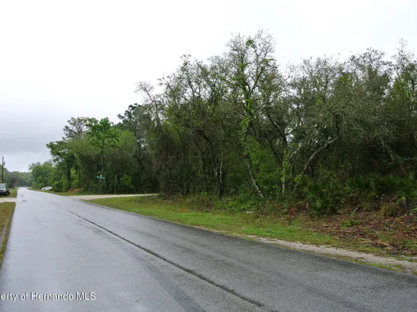 0 Porto Bello Ave, Webster, FL 33597