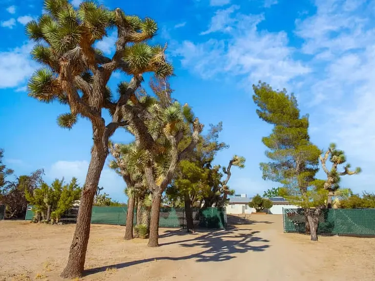 7607 Lucerne Vista Ave — Photo 17