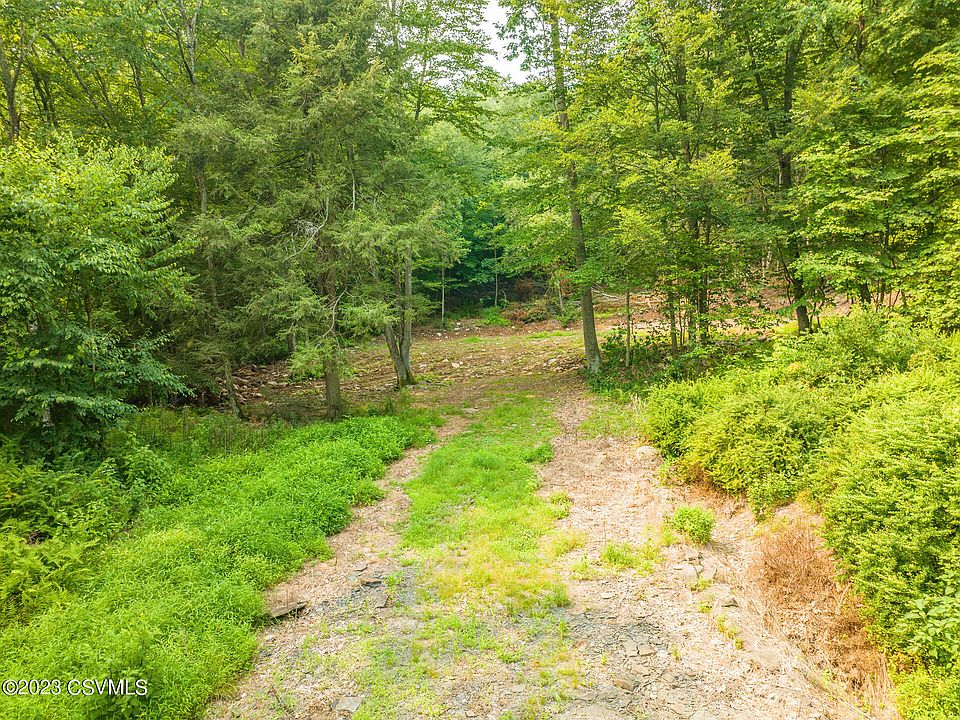 10-spring-ln-benton-pa-17814-zillow