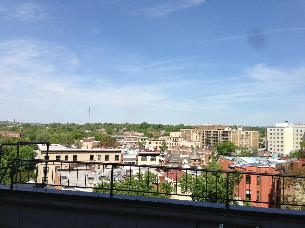1 bed, 980 sqft, $3,300 — Photo 1