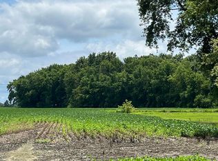 1700 Tonti Rd, Odin, IL 62870