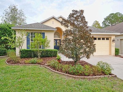 8035 Arcadian Ct, Mount Dora, FL, 32757