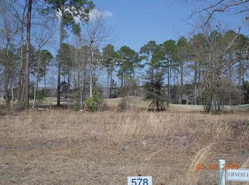2nd image of 742 Southbridge Blvd Lot Only