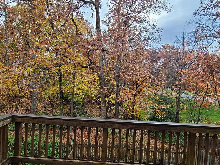 Relax on 1 of 2 decks. Face gorgeous private back yard wooded lot full of trees.