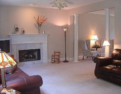 Family Room w/ Fireplace