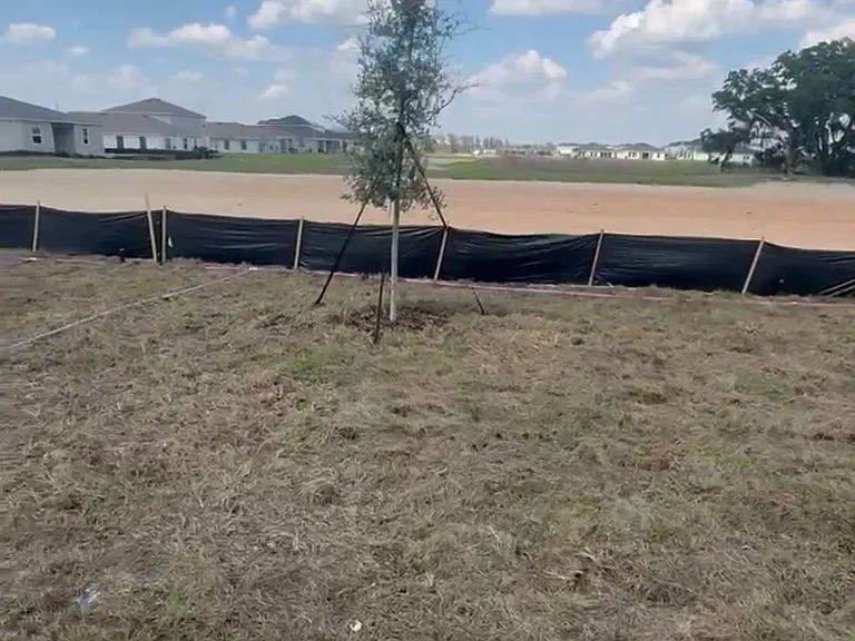 Backyard with no rear neighbors