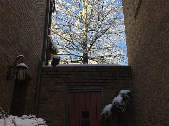 Looking out from the courtya