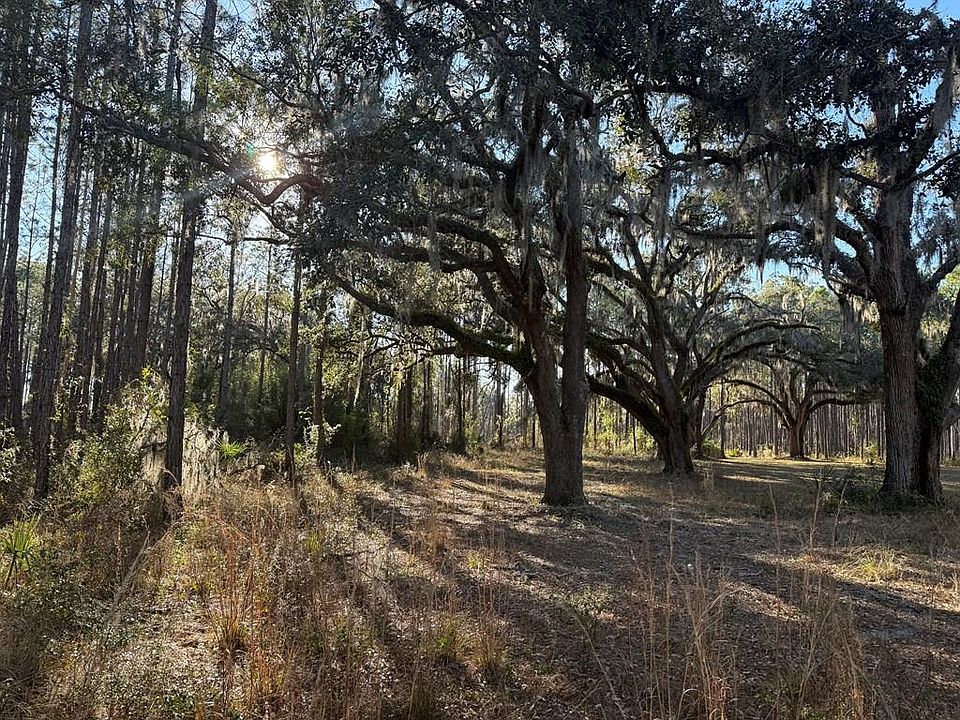 1st image of Lot 000 S US Hwy 19