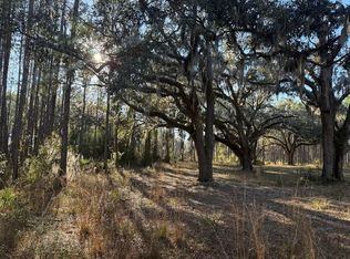 Lot 000 S US Hwy 19, Perry, FL 32348