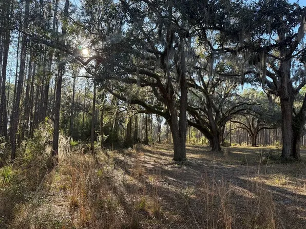 Lot 000 S US Hwy 19, Perry, FL 32348