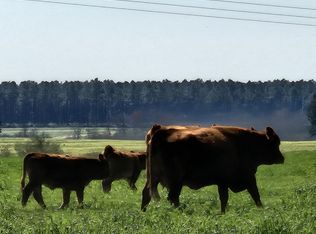 State Highway 2 W, Defuniak Springs, FL 32433