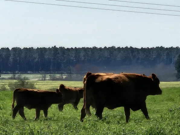 State Highway 2 W, Defuniak Springs, FL 32433