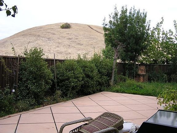 Backyard backs to Open Space