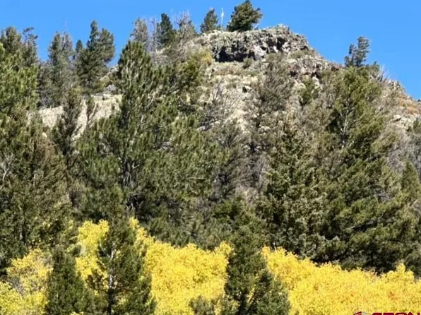 4462 County Road 25, Powderhorn, CO 81243