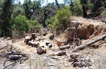 3rd image of 5209 Palmer Cyn