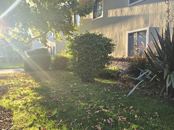 3rd image of 1369 Reeve St #4
