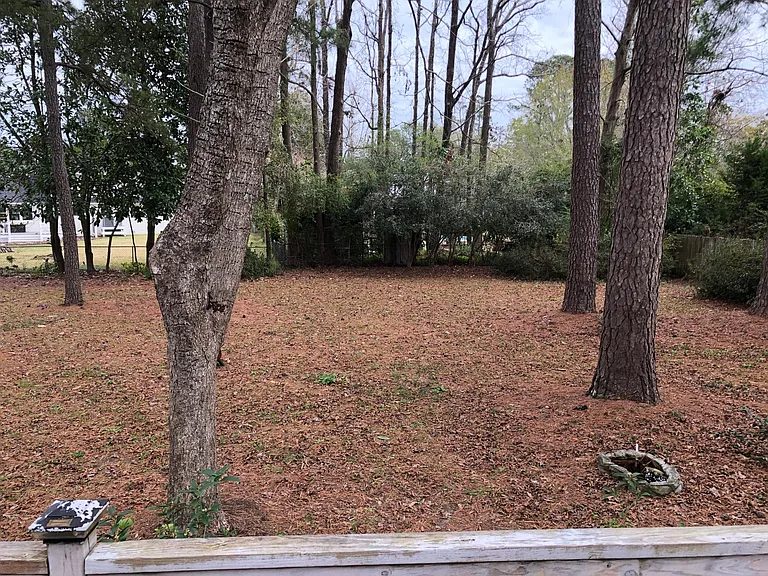 310 W Blackbeard Rd — Photo 18